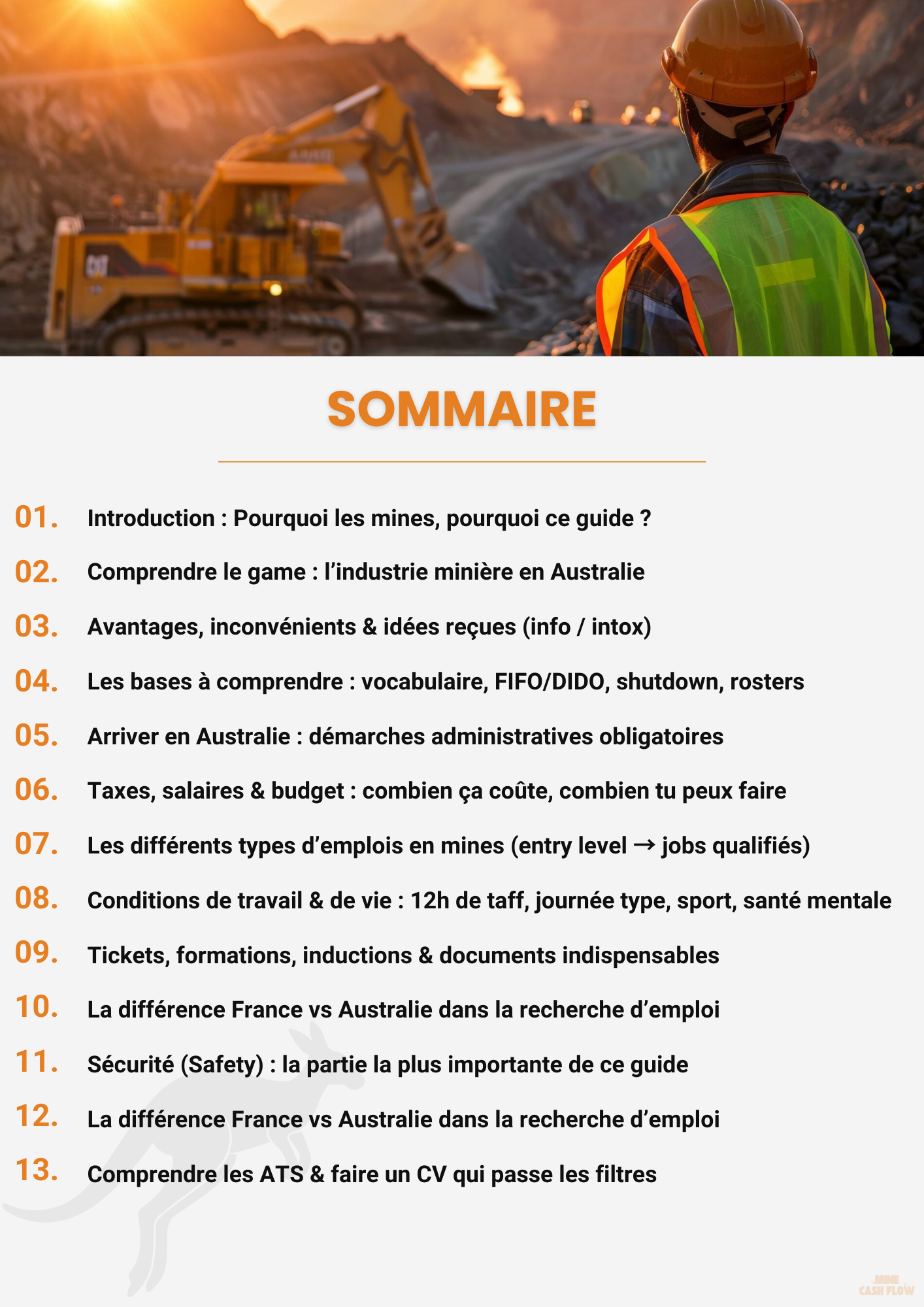 Guide - Mine Cash Flow