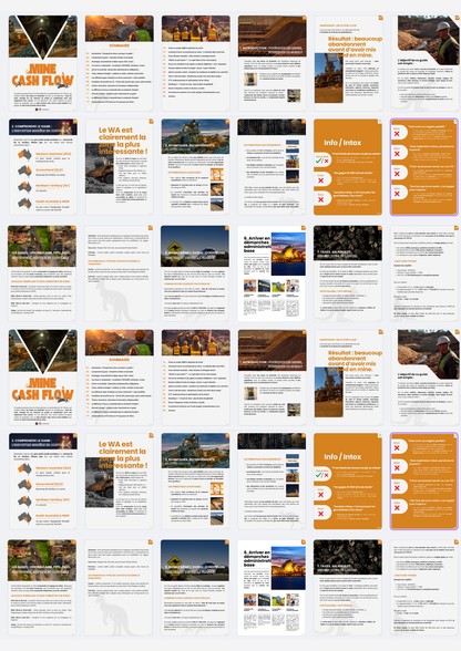 Guide - Mine Cash Flow